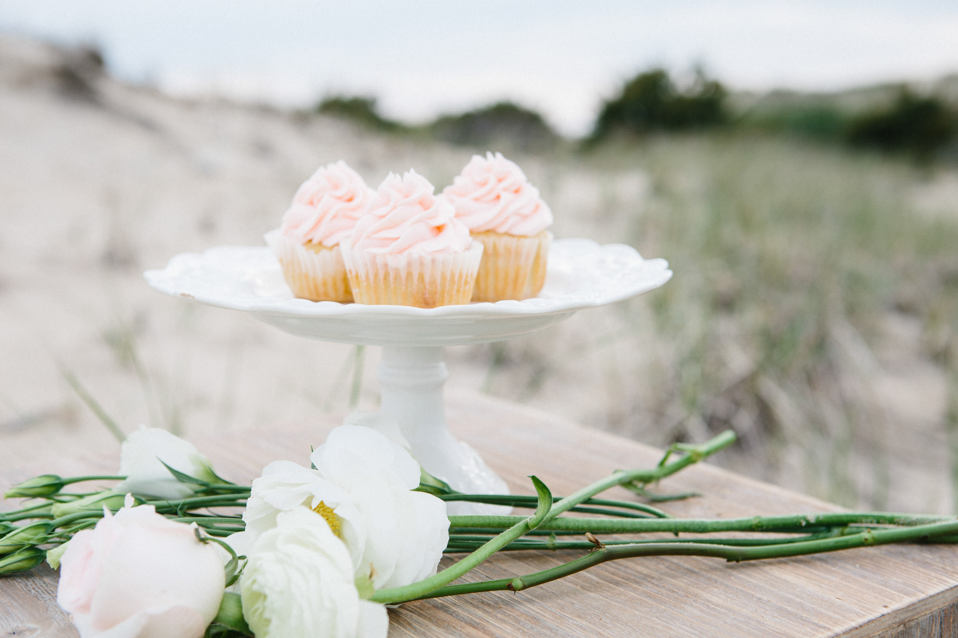 Cupcakes on a platter at Horseneck Beach in Westport, MA